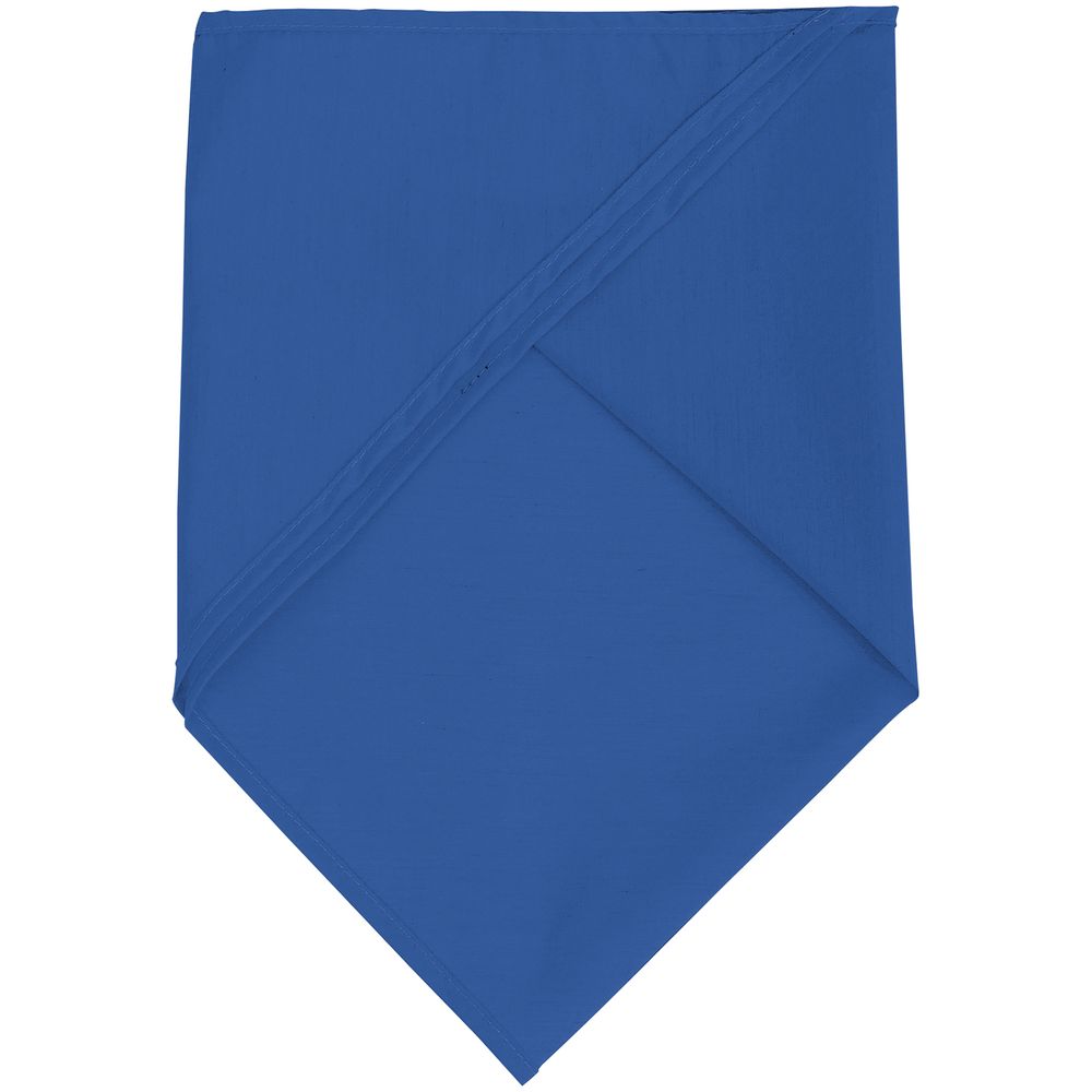 Шейный платок Bandana фото на сайте Print Logo.