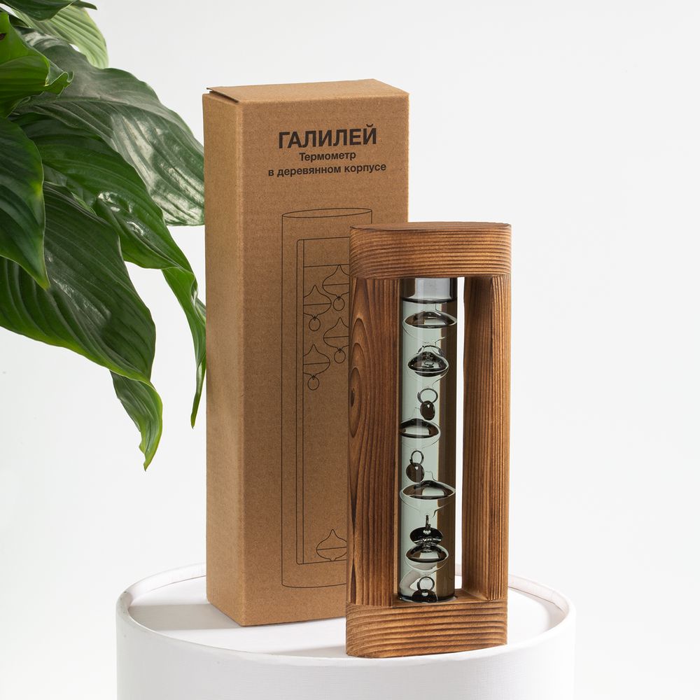 Термометр «Галилей» в деревянном корпусе