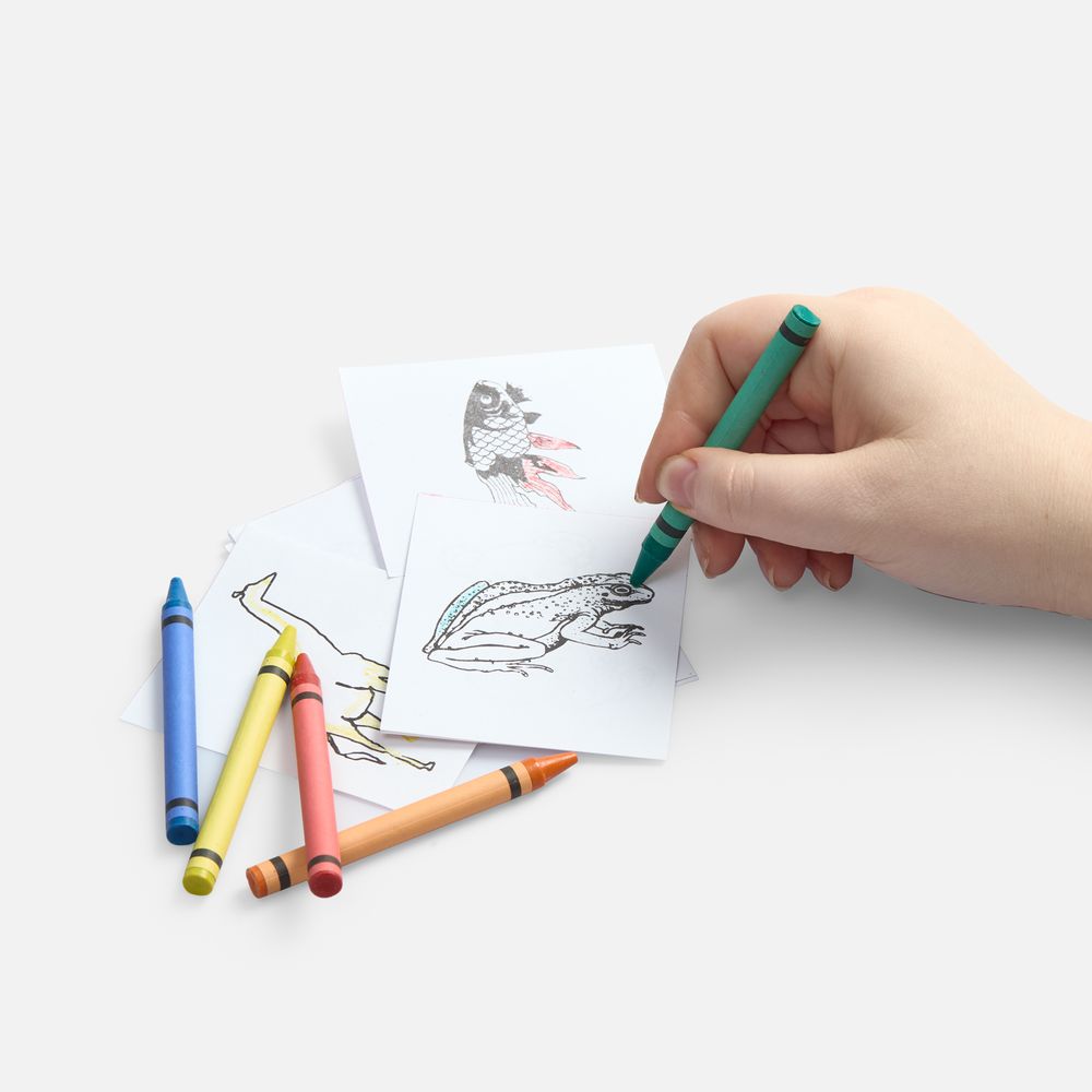 Набор для раскрашивания Create фото на сайте Print Logo. 