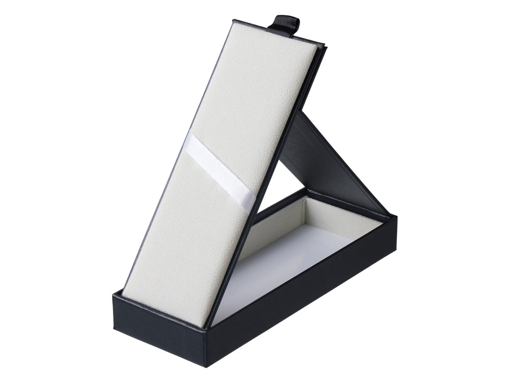 Футляр для 2-х ручек Aristocrat с логотипом  | Print Logo