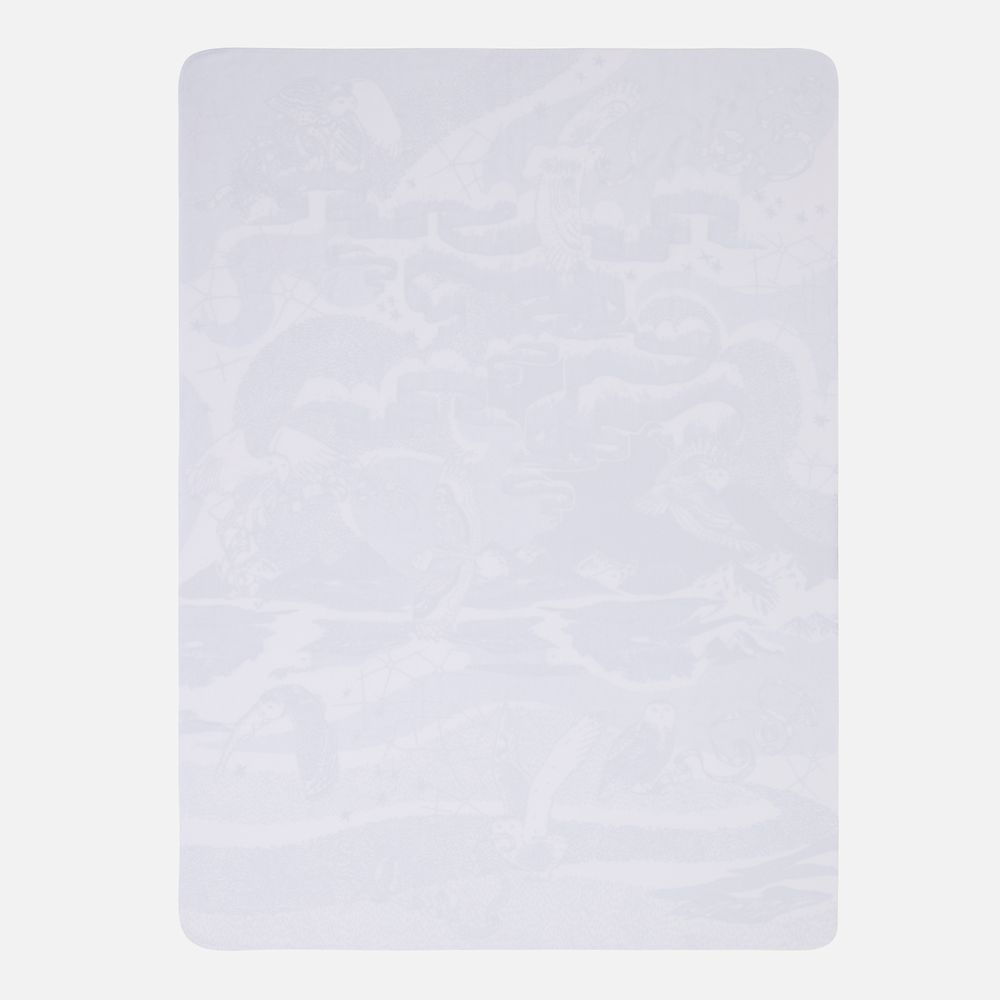 Флисовый плед «Чудеса прилетели» фото на сайте Print Logo.