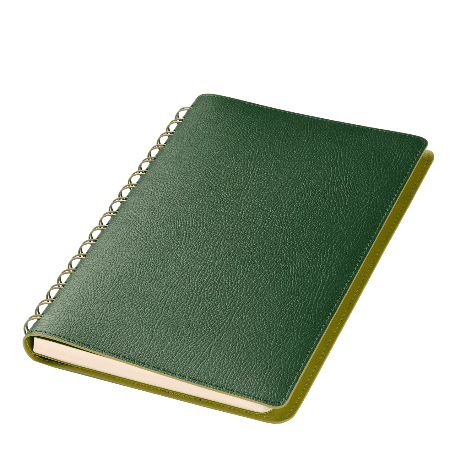 Ежедневник Виста (Vista) недатированный, зеленый/салатовый