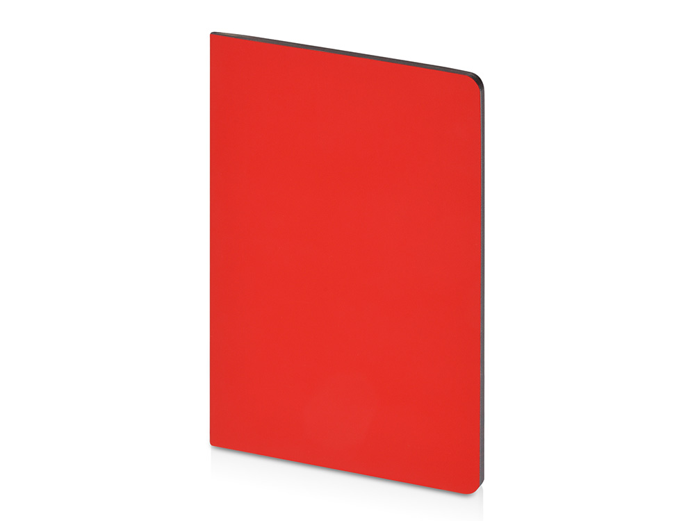 Бизнес-тетрадь А5 Pragmatic Contrast с логотипом Bruno Visconti | Print Logo