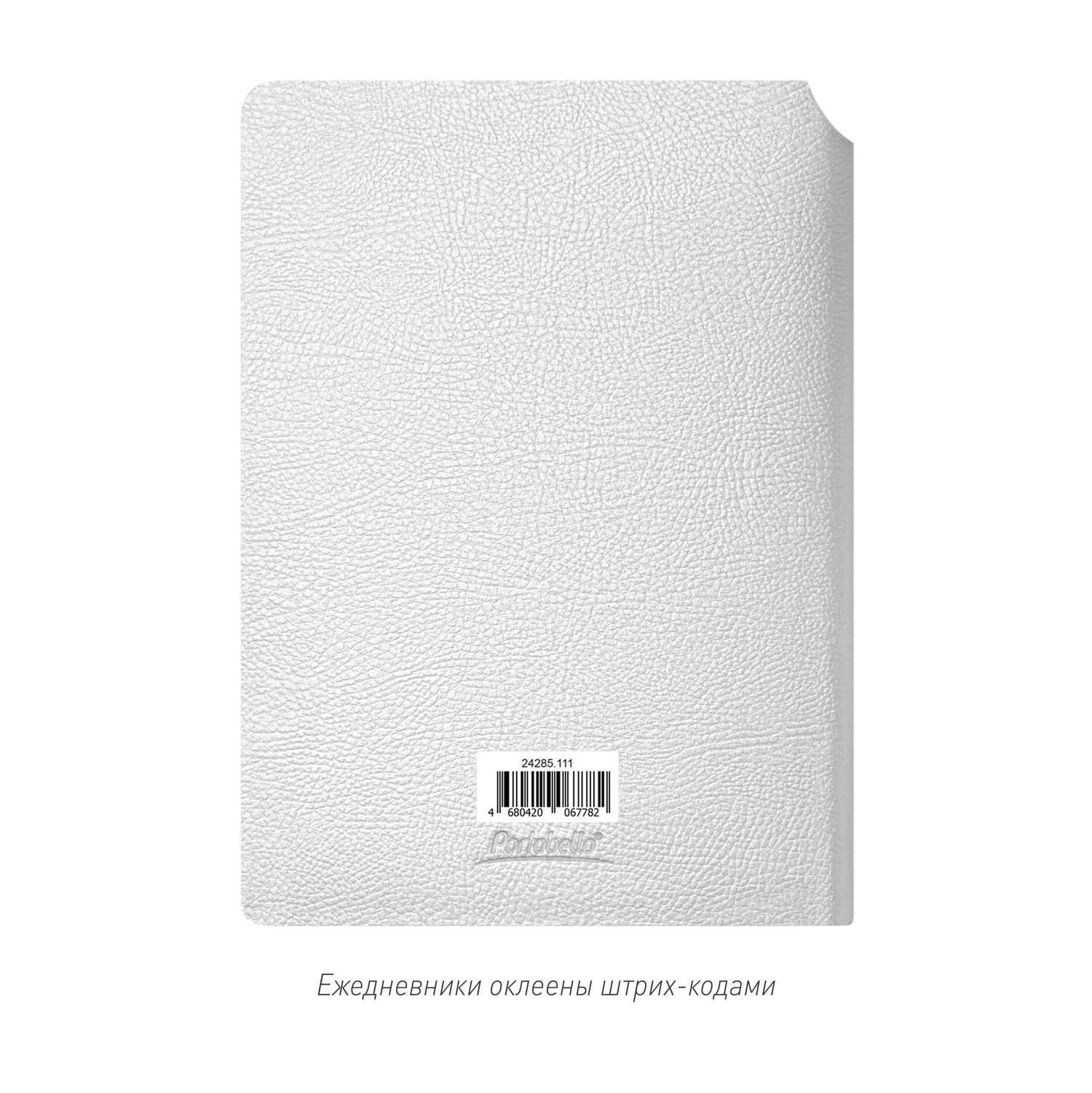 Ежедневник Молто (Molto) недатированный, серебряный