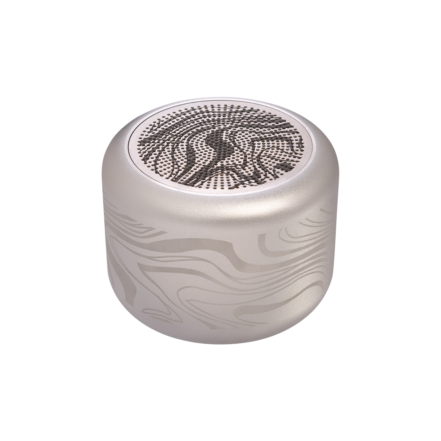 Беспроводная колонка Passion 80dB 600 mAh (Bluetooth 5.0), серебряная