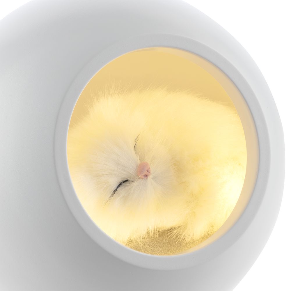 Беспроводная лампа-колонка Right Meow фото на сайте Print Logo.