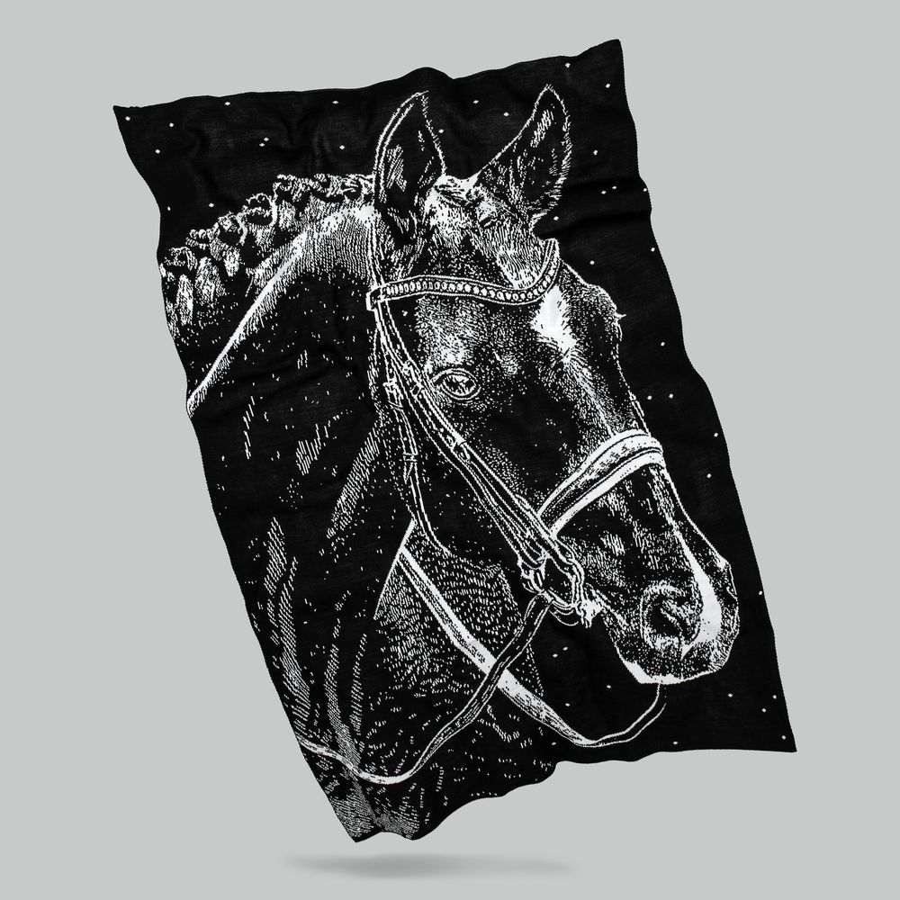 Плед «Вороной» фото на сайте Print Logo.