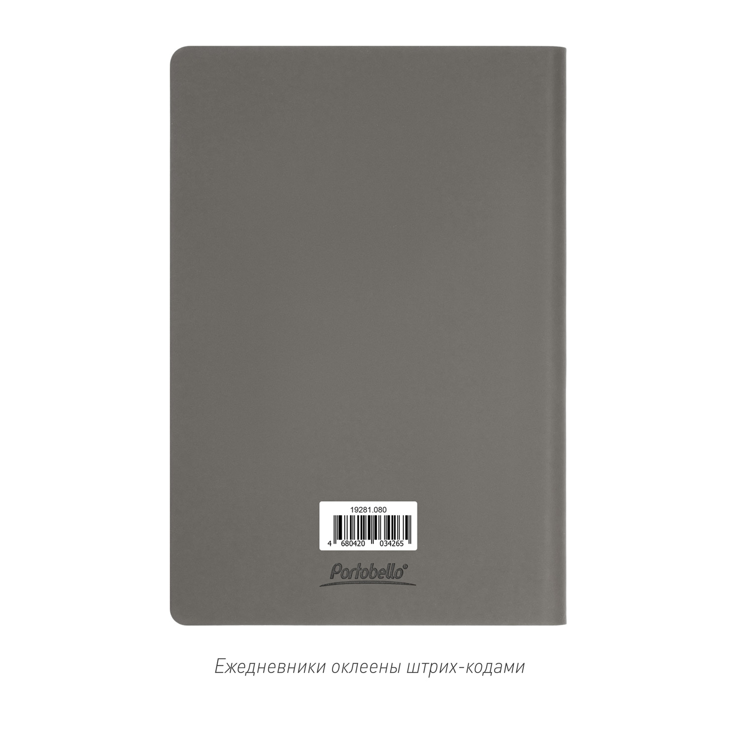 Ежедневник Стар (Star) недатированный, серый (с упаковкой, со стикерами)
