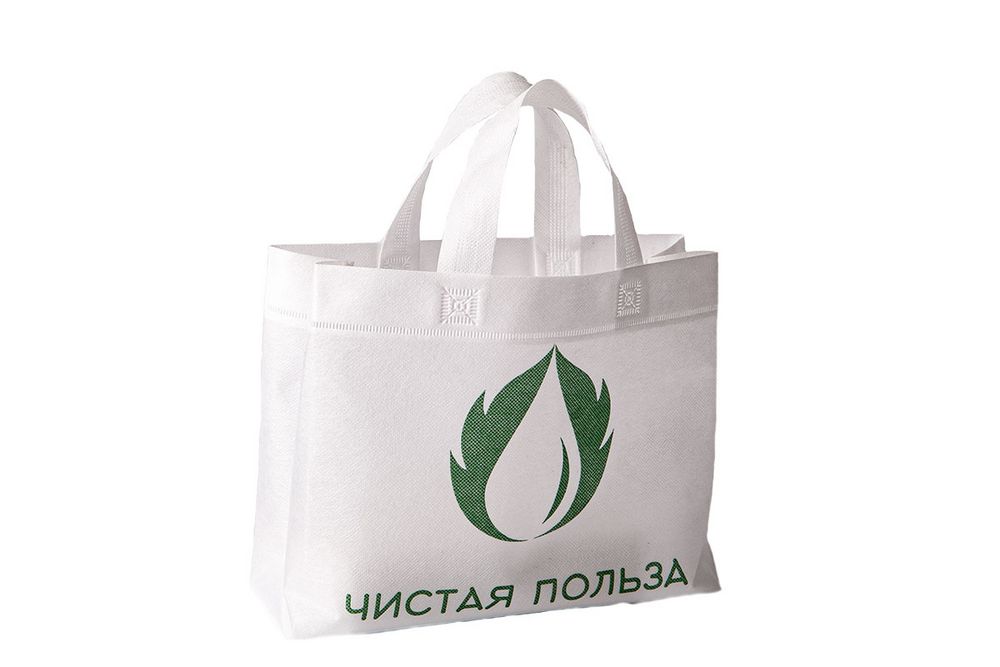 Сумка EcoBag из спанбонда на заказ фото на сайте Print Logo.