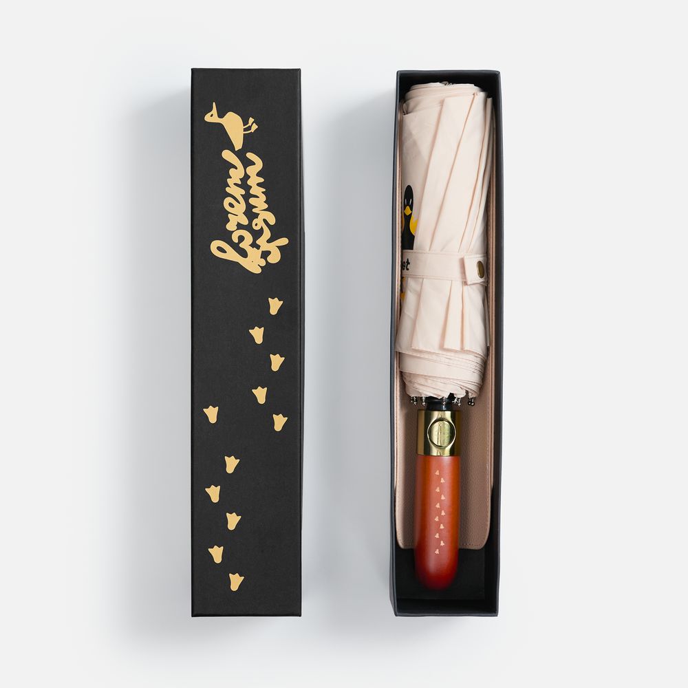 Зонт складной Cloudburst в подарочной упаковке