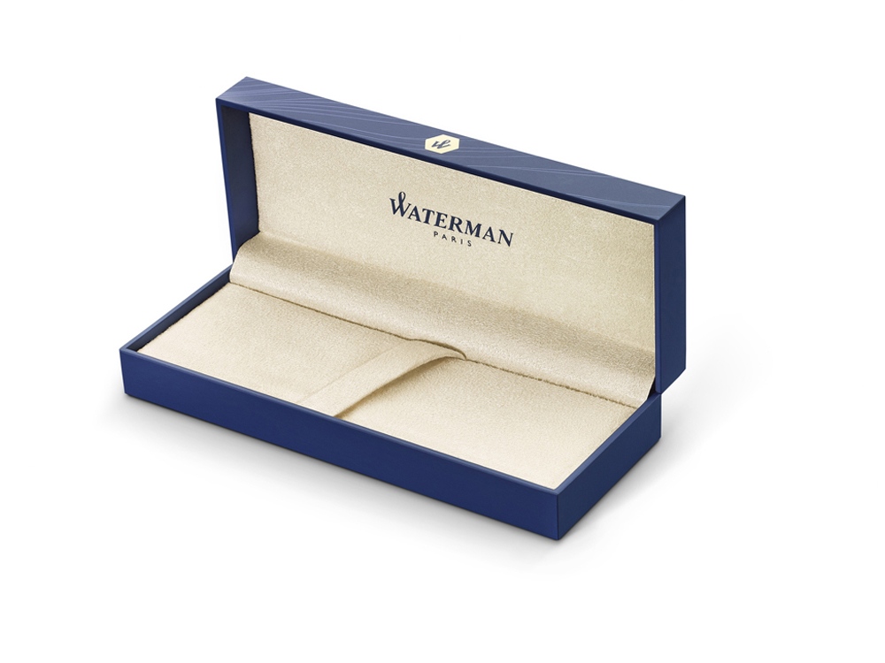 Перьевая ручка Waterman Expert Silver F BLK в подарочной упаковке