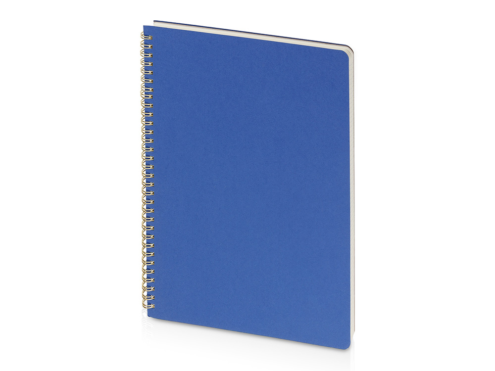 Бизнес-тетрадь А4 Pragmatic с логотипом Bruno Visconti | Print Logo