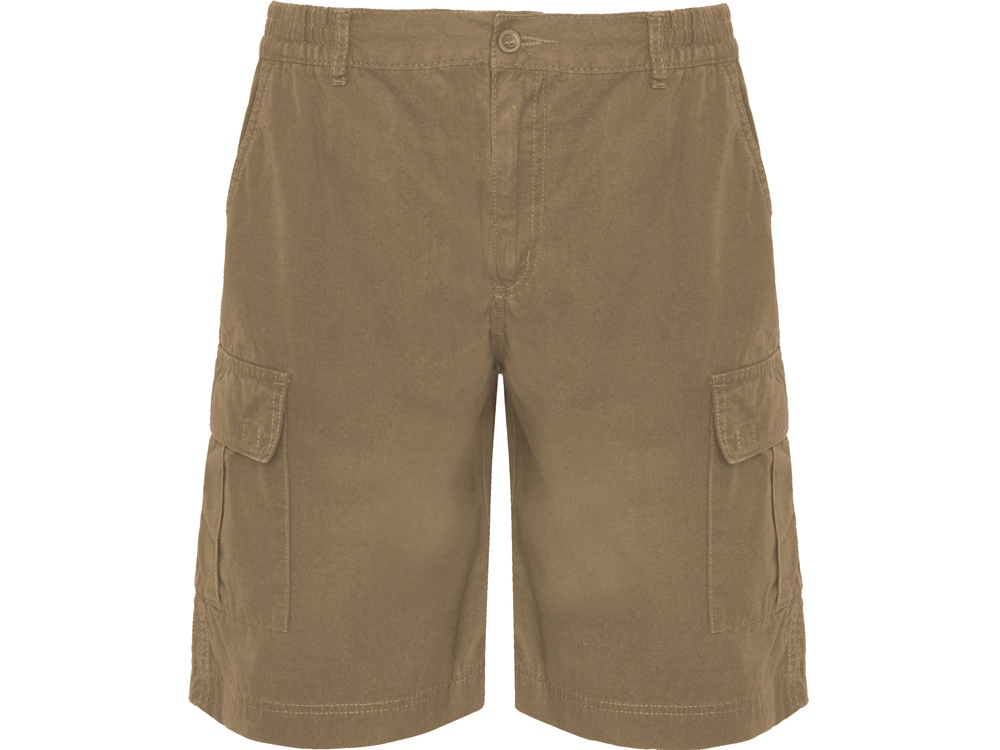 Шорты Armour, мужские с логотипом Roly | Print Logo