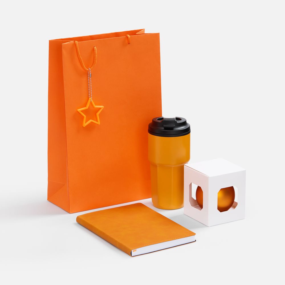 Набор Astrela с логотипом  | Print Logo