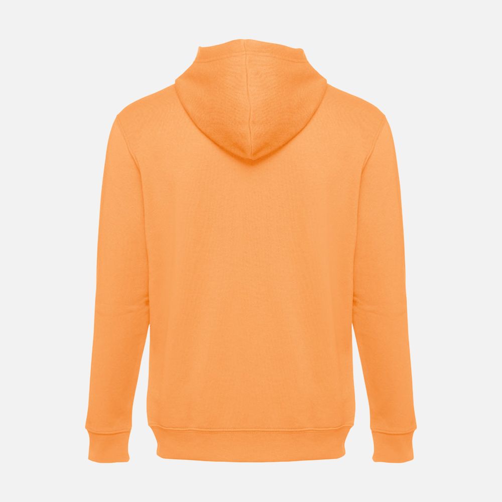 Толстовка мужская на молнии с капюшоном Amsterdam фото на сайте Print Logo.