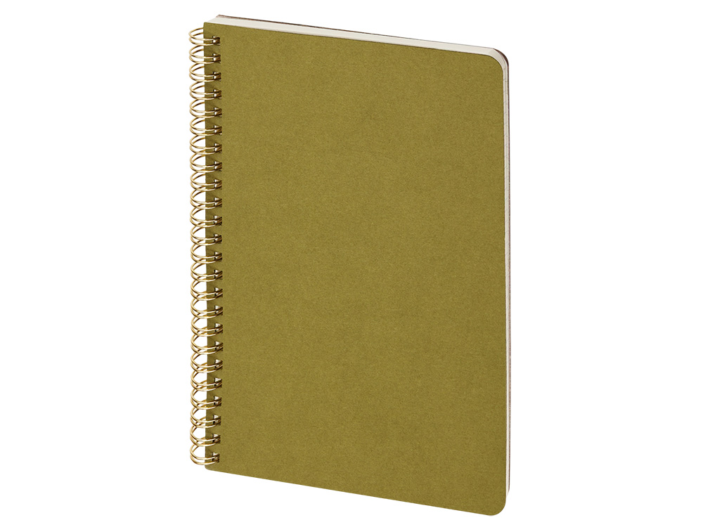 Бизнес тетрадь А5 Pragmatic с логотипом Bruno Visconti | Print Logo