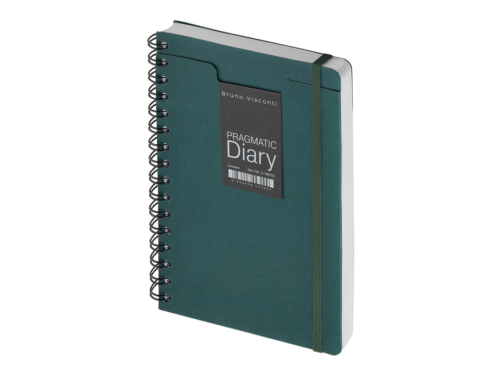 Ежедневник недатированный А5 Pragmatic с логотипом Bruno Visconti | Print Logo
