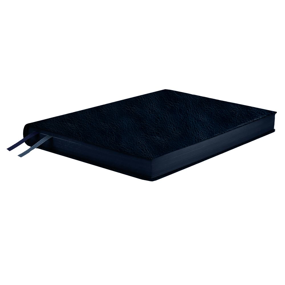 Ежедневник Merida, датированный