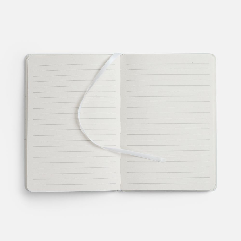 Блокнот Lactonica