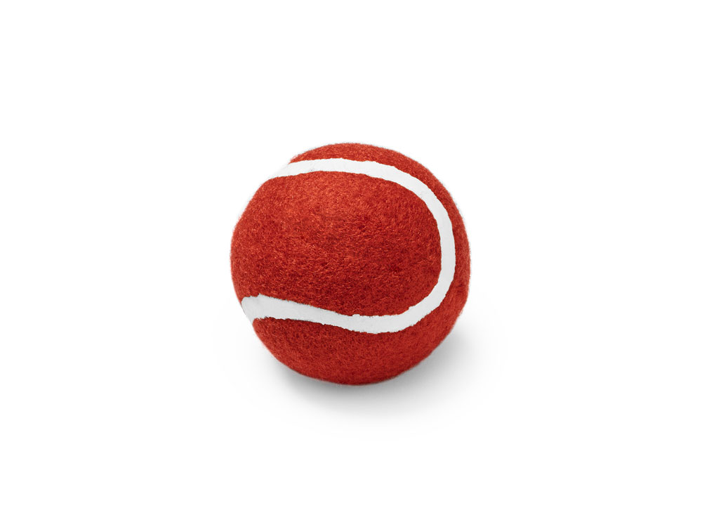 Мяч для домашних животных LANZA фото на сайте  Print Logo.