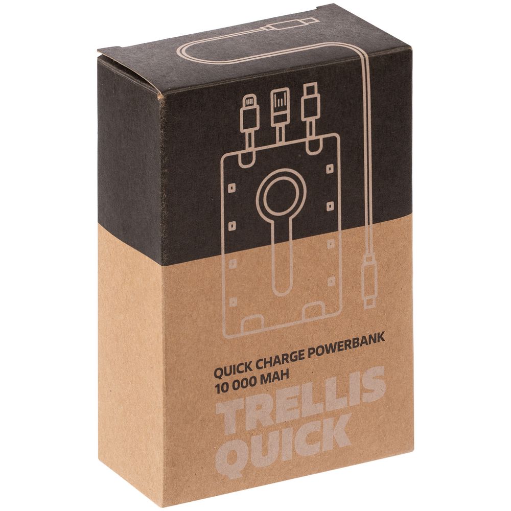 Аккумулятор c быстрой зарядкой Trellis Quick 10000 мАч фото на сайте Print Logo.