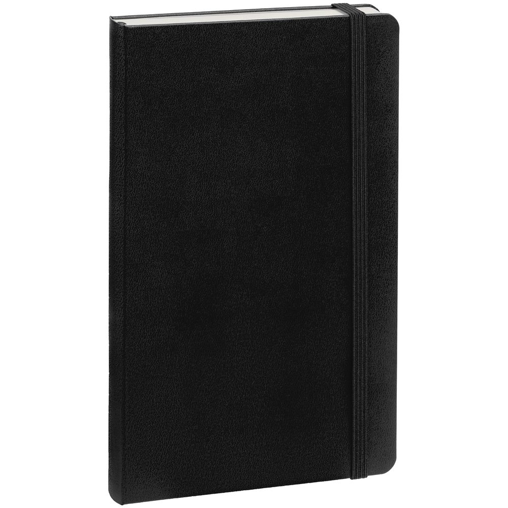 Записная книжка Moleskine Professional Large