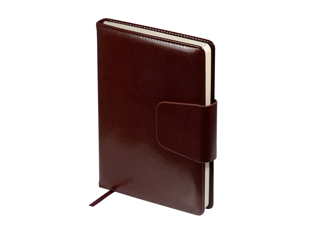 Ежедневник недатированный А5 Prestige с логотипом Bruno Visconti | Print Logo