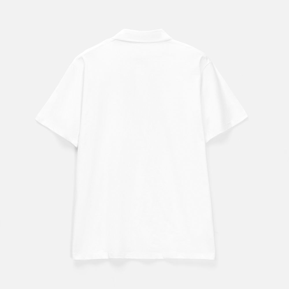 Рубашка поло мужская Prescott men 170 белая, размер XL