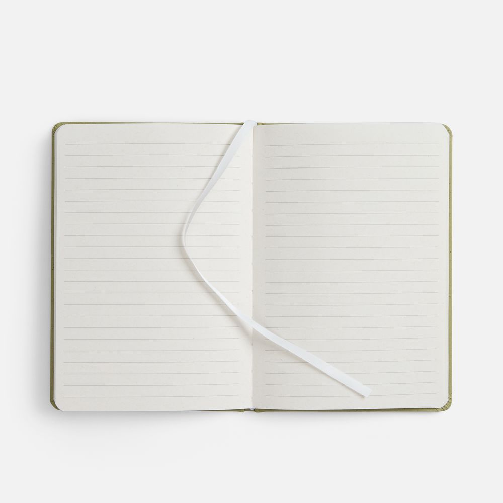 Блокнот Lactonica