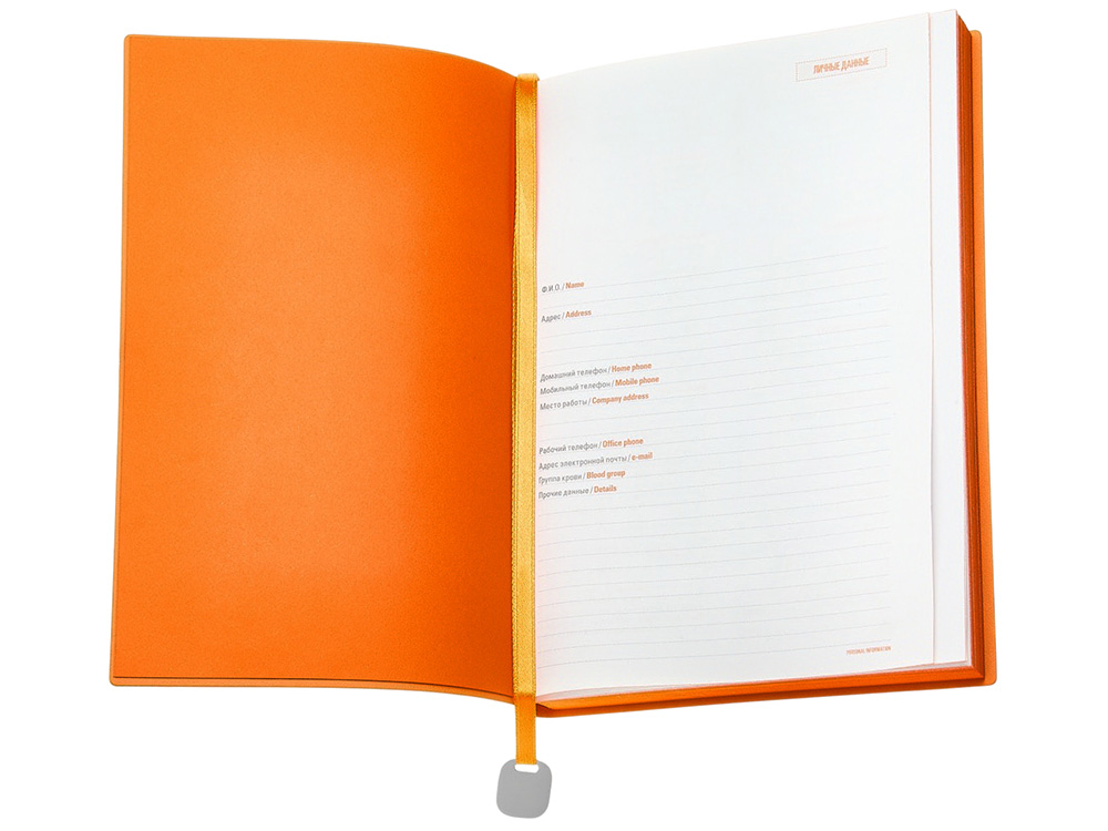 Ежедневник А5 недатированный Mercury, синий