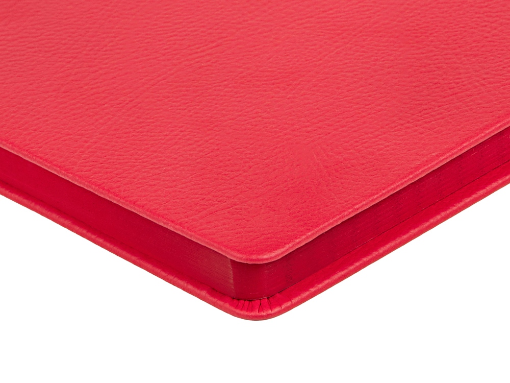 Ежедневник А5 датированный Megapolis Nappa на 2026, красный