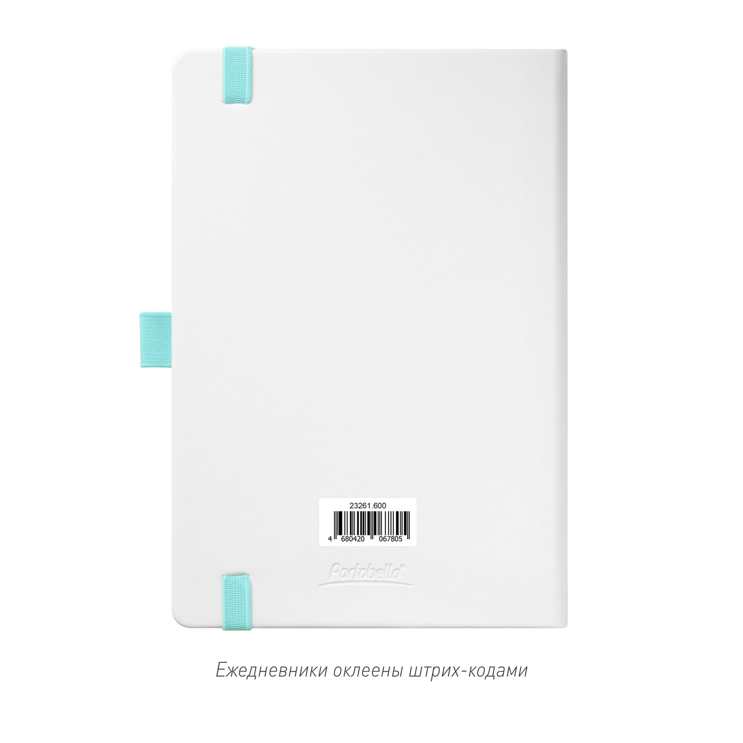 Ежедневник Арктик (Arctic) недатированный, белый/бирюзовый