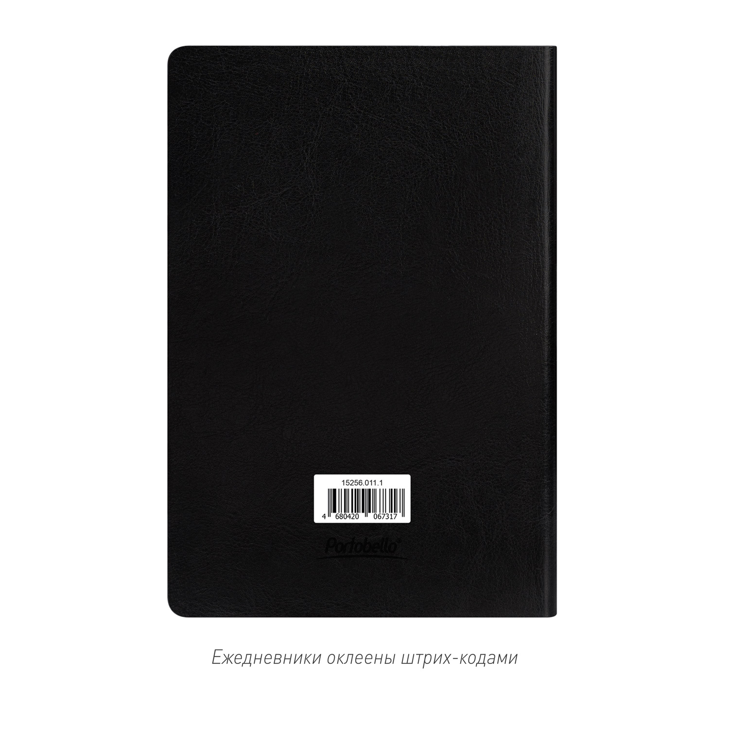 Ежедневник Ривер Сайд (River side) недатированный, черный (без упаковки, без стикера)