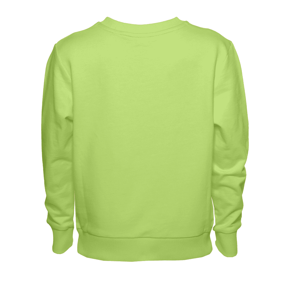 Свитшот детский STAN футер без начёса, 260, 63J, Весенний,  (25)  (14/14 лет)