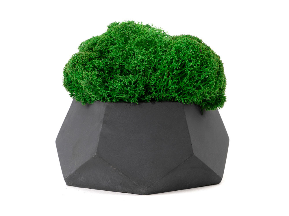 Кашпо бетонное со мхом Альфа с логотипом OKTAUR | Print Logo